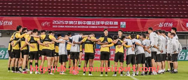 完美体育app-钢铁防线与艺术中场 细数2005年意甲十大经典阵容与战术布局