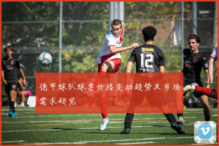 德甲球队球票价格变动趋势及市场需求研究