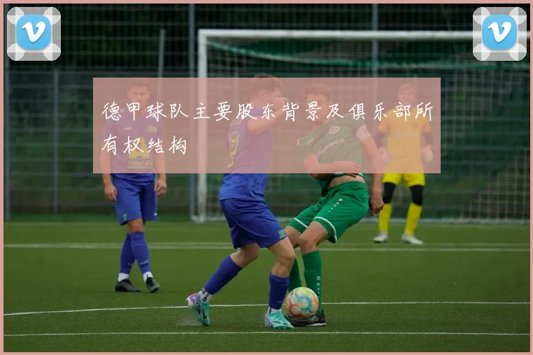 德甲球队主要股东背景及俱乐部所有权结构