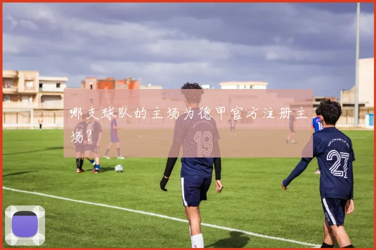 哪支球队的主场为德甲官方注册主场?