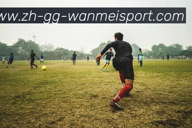 辅助工具 辅助工具